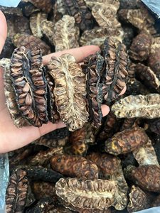 ผลไม้โนนิอบแห้งผลไม้จากเวียดนาม/คุณนายลิมา - Product Image 6