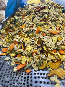 Fruits et légumes séchés du Vietnam, assortiment varié pour les acheteurs en gros - Product Image 6