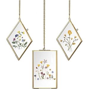 Vintage Gold Hanging Metal Glass <b>Double</b> <b>Sided</b> Floating <b>Photo</b> <b>Frame</b> for Pressed Flowers, Brass Diamond Rectangle Wall Art Decor - Product Image 1