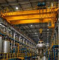 Explosion Proof Electric Double Girder Bridge Crane for Oil Gas Petrochemical and Mining Industries
