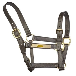 OEM Best Quality Brown Padded Leather Horse <b>Halter</b> with Personalized Brass Name Plate and Hardware <b>Halter</b> Horse - Product Image 3