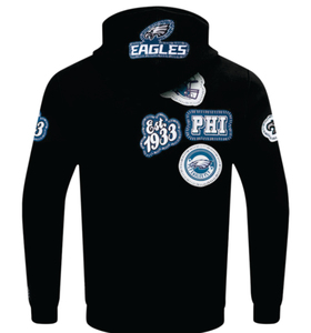 <b>Black</b> Philadelphia Eagle Hoodies Embroidery Digital Printing Sky Blue Cotton <b>Fleece</b> Unisex Winter Zipper-Up Breathable Quick Dry - Product Image 6