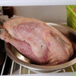 จำหน่ายเนื้อไก่กินีแช่แข็งและเนื้อไก่กินีสดสำหรับการค้าระหว่างประเทศ - Product Image 5