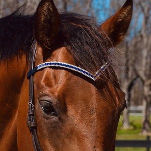 Nueva diadema para caballo en forma de V, de cuero negro, con cristales transparentes azules y blancos, cadena brillante con pedrería, accesorios para carreras de caballos. - Product Image 6