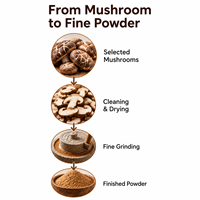 Poudre d'extrait de champignon Shiitake Lentinus Edodes en vrac, 10 % de polysaccharides de haute qualité, marque privée Qidan