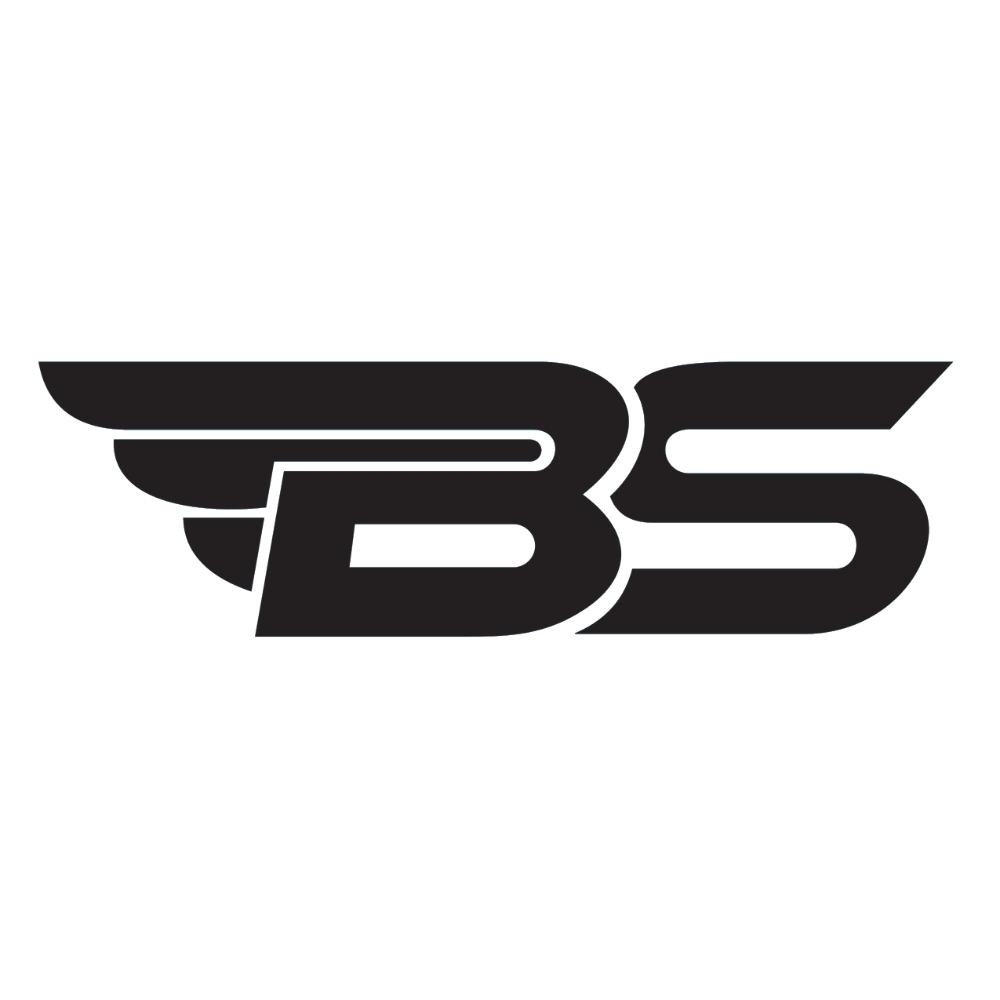 BAGGA & SONS INTERNATIONAL logo