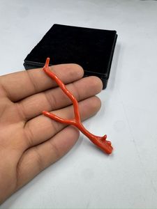 ลูกปัดปะการังแดงอิตาลีธรรมชาติ รูปทรงกิ่งไม้ สำหรับทำเครื่องประดับ ปะการังรูปทรงต้นไม้ คุณภาพสูง - Product Image 3