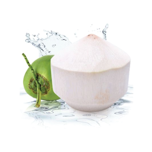 Nouvelles noix de coco fraîches Ben Tre du Vietnam pour boire des produits agricoles de haute qualité - Product Image 4