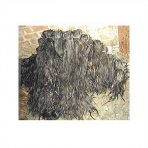 Pelo de Cola de Caballo Líquido Original para Exportación, para la Fabricación de Brochas de Maquillaje, Fuente Natural, B S International, 99% de Alta Pureza, en Venta - Product Image 6