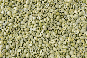 Vietnam Organic Green Coffee <b>Beans</b> Arabica S16 Wholesale Direct Export USDA Organic Certified Low Defect TNFOOD AA+ Grade - Product Image 6