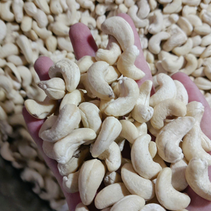 Wholesale Organic Cashew <b>Nuts</b>-Vietnam White Whole <b>Kernels</b> Roasted & Flavored 2 Year Shelf Life - Product Image 3