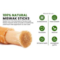 Bâtonnets de Miswak Naturels Personnalisés Sous Vide avec Support Tube Transparent – Vente en Gros