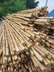 Varas Redondas de Ratán Natural Vietnamita de 2m de Longitud para Muebles, Artesanías y Tejidos, Marca Quang Binh 99GD, Modelo Emma - Product Image 3