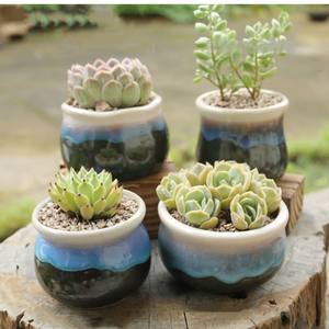 กระถางปลูกพืชอวบน้ำเซรามิกหม้อปลูกพืชอวบน้ำลายปลาขนาดเล็กน่ารัก - Product Image 2