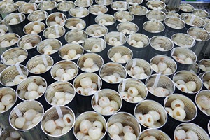 Canned Lychee Fruit in <b>Light</b> Syrup Fresh Tropical Lychee from Vietnam Ready to Eat Canned Fruit with Green <b>Leaves</b> High Quality - Product Image 5