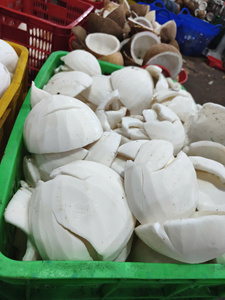 Techmifood Vietnam Coco Deshidratado Bajo en Grasa 30% de Grasa, Dulce, 25 kg para Panadería y Confitería, Original de Vietnam, Envasado al Vacío - Product Image 3