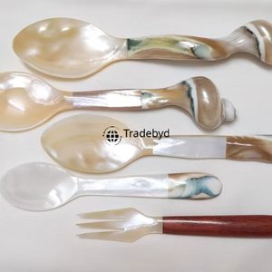 Cuillère artisanale en nacre, élégante, faite à la main, pour servir, par Tradebyd - Product Image 1