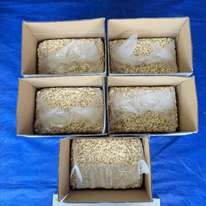 ลดราคาพิเศษ 2025 W180 W320 เม็ดมะม่วงหิมพานต์ เวียดนาม เม็ดมะม่วงหิมพานต์ขายส่ง ซานติโก้ มะม่วงหิมพานต์เวียดนาม พร้อมส่ง - Product Image 1