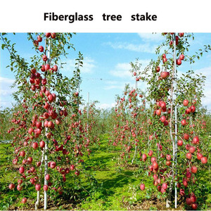 Fiberglass Plant <b>Support</b> Rod for Tree Stakes / <b>Tomato</b> Stakes / Garden Stakes - Product Image 6