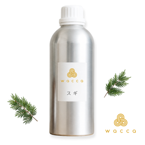 Aceite Esencial de Cedro Japonés y Sugi Puro Wacca, 100% Natural, Destilado al Vapor, Aromático Amaderado, Aromaterapia para Todo Tipo de Piel - Product Image 1