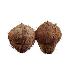 Demi-noix de coco entières séchées BLUE LOTUS, naturelles, brunes, biologiques, fruits sucrés pour la production d'huile et de lait, origine Ben Tre - Product Image 1