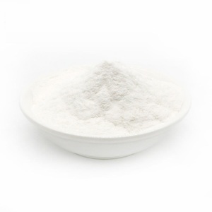 Proveedor Indio de Probiótico Lactobacillus Casei 10-300 BN CFU/g para Aplicaciones Nutricionales y Alimentación Animal Disponible para la Venta - Product Image 1