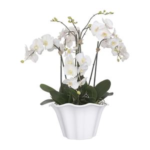 Pot de plante en plastique suspendu tulipe de haute qualité Durable léger résistant aux intempéries idéal pour la décoration de patio et de jardin à la maison - Product Image 2