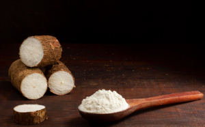 Polvo de Ñame Orgánico de Alta Calidad, Raíz Orgánica Seca para Uso Alimentario, Precio Competitivo, Fabricado por Vietdelta para Exportación a Granel // Evan - Product Image 6