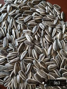 Graines de tournesol de qualité alimentaire CREKS pour la consommation humaine, en vrac, en provenance de Mongolie intérieure - Product Image 3