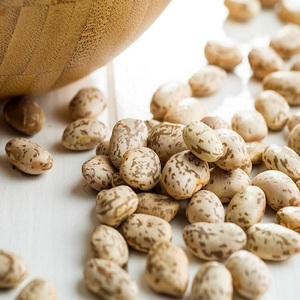 Frijoles Pinto Premium Disponibles a Precio de Mayoreo para Proveedores de Alimentos de Calidad, Restaurantes, Minoristas y Tiendas de Comestibles en Todo el Mundo - Product Image 2