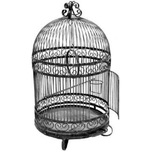 Cage à oiseaux en métal bleu de luxe avec un dessus arqué et une base décorative pour la décoration intérieure et extérieure du jardin, cage à oiseaux en fil métallique - Product Image 2