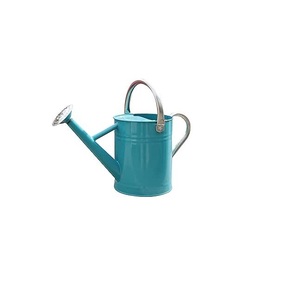 Arrosoir d'intérieur élégant en métal pour plantes décoratives, bec long, poignée ergonomique, revêtement antirouille, finition durable - Product Image 2