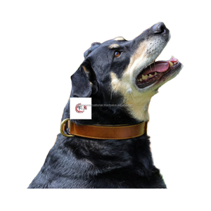 Cuir véritable de belle qualité sélectionnez un collier de chien approprié pour votre animal de compagnie fabricant de grossiste - Product Image 1