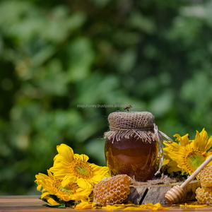 Mono-Floral Multiflora Miel natural Mezcla de nueces y bayas Bosque Apiario Mason Jar Embalaje a granel disponible en venta a granel - Product Image 2