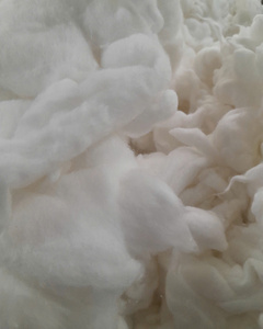Algodón Crudo Blanco de Alta Calidad, Fibra Suelta a Granel para Hilado y Procesamiento Textil - Product Image 3