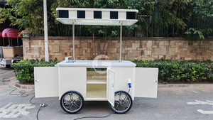 Carrito Congelador Móvil para Helados y Alimentos, Carro de Venta Ambulante de Gelato con Congelador, ¡Oferta Caliente! - Product Image 5