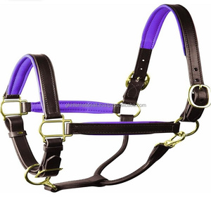 Licou de cheval en cuir véritable noir avec doublure douce et colorée cousue et licou en acier inoxydable, fourniture d'usine en gros - Product Image 3