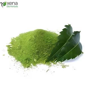 Fabricant d'extrait de neem, poudre d'extrait de feuilles de neem pure, fournisseur en gros - Product Image 3
