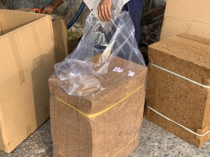 MEILLEURES VENTES - LITRES DE MATRAS EN LATEX DE COCO ET FIBRES DE COCO NATURELLES - PRODUIT DE BLUE LOTUS VIETNAM 2025 - Product Image 5