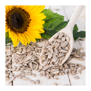 Semillas de girasol de primera calidad, directas de fábrica, preparadas para entrega al por mayor. - Product Image 6