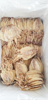 Meilleures ventes : Tubes de calamar séchés avec peau, 20-22 cm, surgelés en couches entières, 25 kg, Calamar, Fruits de mer