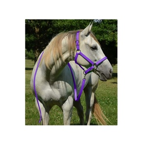 Accessoire Premium Personnalisé, Sangle en PVC de Haute Qualité, Harnais pour Cheval en PP, Style Selle Anglaise Intelligente, Design Fantaisie Coloré, Ruban - Product Image 1