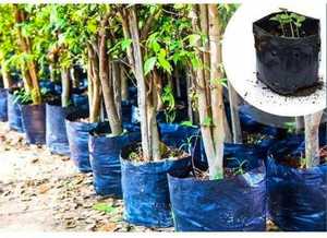 Black Plastic Grow Bags with Drainage Holes Reusable Seedling <b>Planter</b> Pouch <b>for</b> Garden 18gallon - Product Image 4