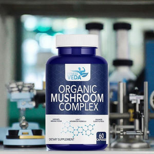 Prêt à l'exportation : Complexe de champignons, complément naturel de qualité supérieure, mélange pour usage quotidien, quantité en vrac, offre en gros Inde - Product Image 4