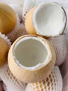 Agua de Coco Congelada en Envases a Granel al por Mayor - Product Image 3