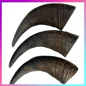 Top Dog Chews - Huesos de Cuerno de Búfalo Natural para Perros, Juguetes Ecológicos, Duraderos, Interactivos y Personalizables - Product Image 5