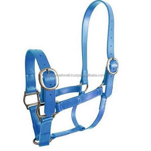 Fabricante de Cabestros para Caballos de PVC, Cabestro de PP Recubierto de PVC Impermeable con Hebilla y Anillo Ajustables de Acero Inoxidable de Calidad Superior - Product Image 6