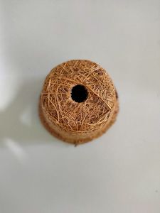 Macetas de Fibra de Coco Sostenibles para Viveros, Centros de Jardinería y Cultivo en Invernadero - Product Image 1