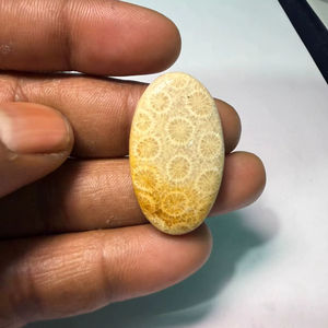 Coral Fósil Natural, Cabujón de Cristal Pulido, Gemas Minerales de Alta Calidad, Formas Mixtas, Materiales a Granel para la Fabricación de Joyería - Product Image 4