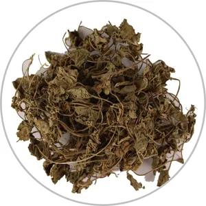 Extracto de Bacopa Monnieri de Grado Premium para Cápsulas Herbales, Tabletas y Productos de Bienestar, Disponible en Grandes Cantidades - Product Image 5
